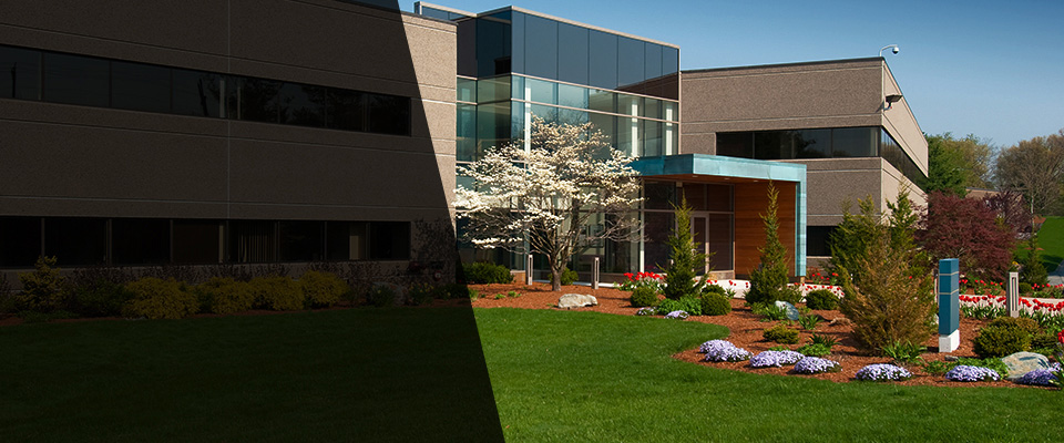 Goldendale Landscapers