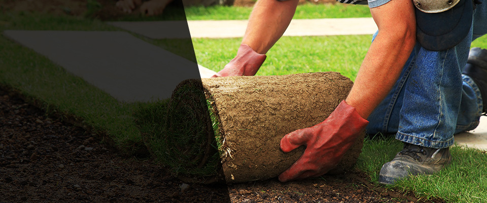 Goldendale Landscapers